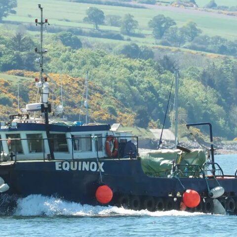MV Equinox